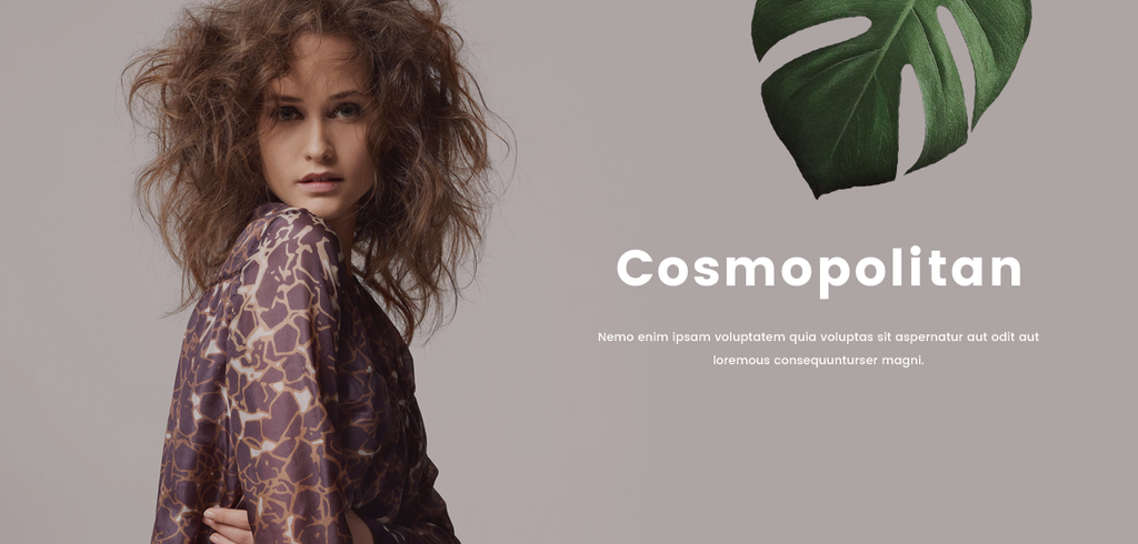 Dinterdum pretium es loremous dorus condimentus